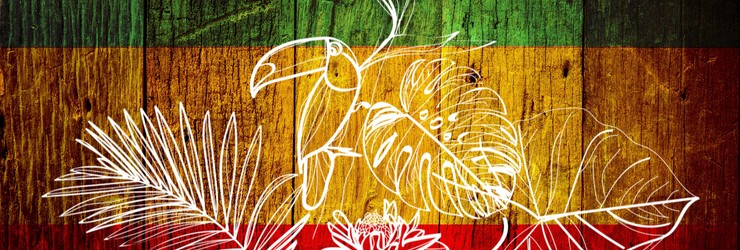 Soirée Reggae