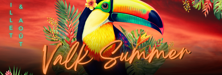 Valk Summer - Quai5