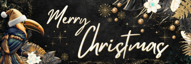 Noël Van der Valk Mons