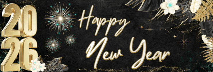 Nouvel An Van der Valk Mons