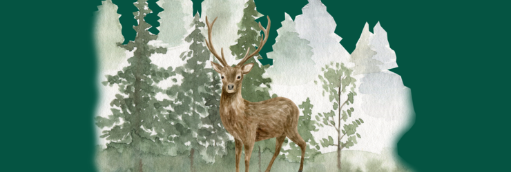 Jagdabend – Jagdhörner und Wildbuffet | Van der Valk Mons