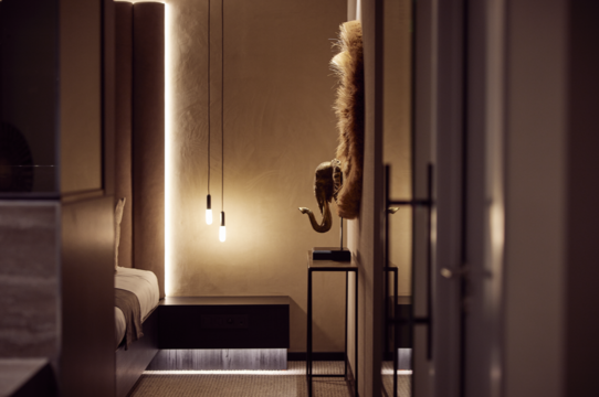 suite safari
